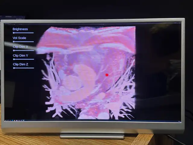 Visor Médico DICOM vista previa del proyecto 1