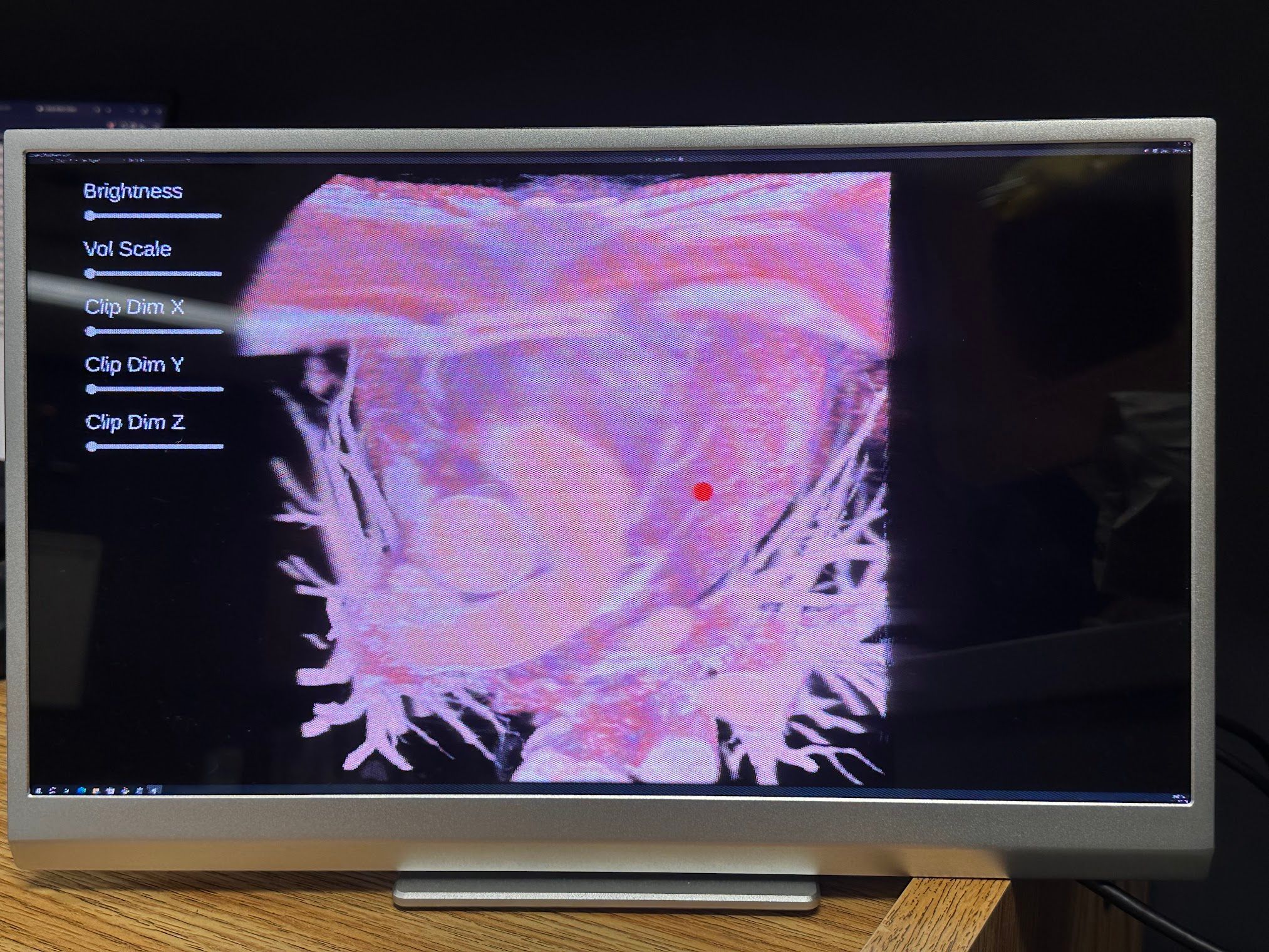 Visor Médico DICOM vista previa del proyecto